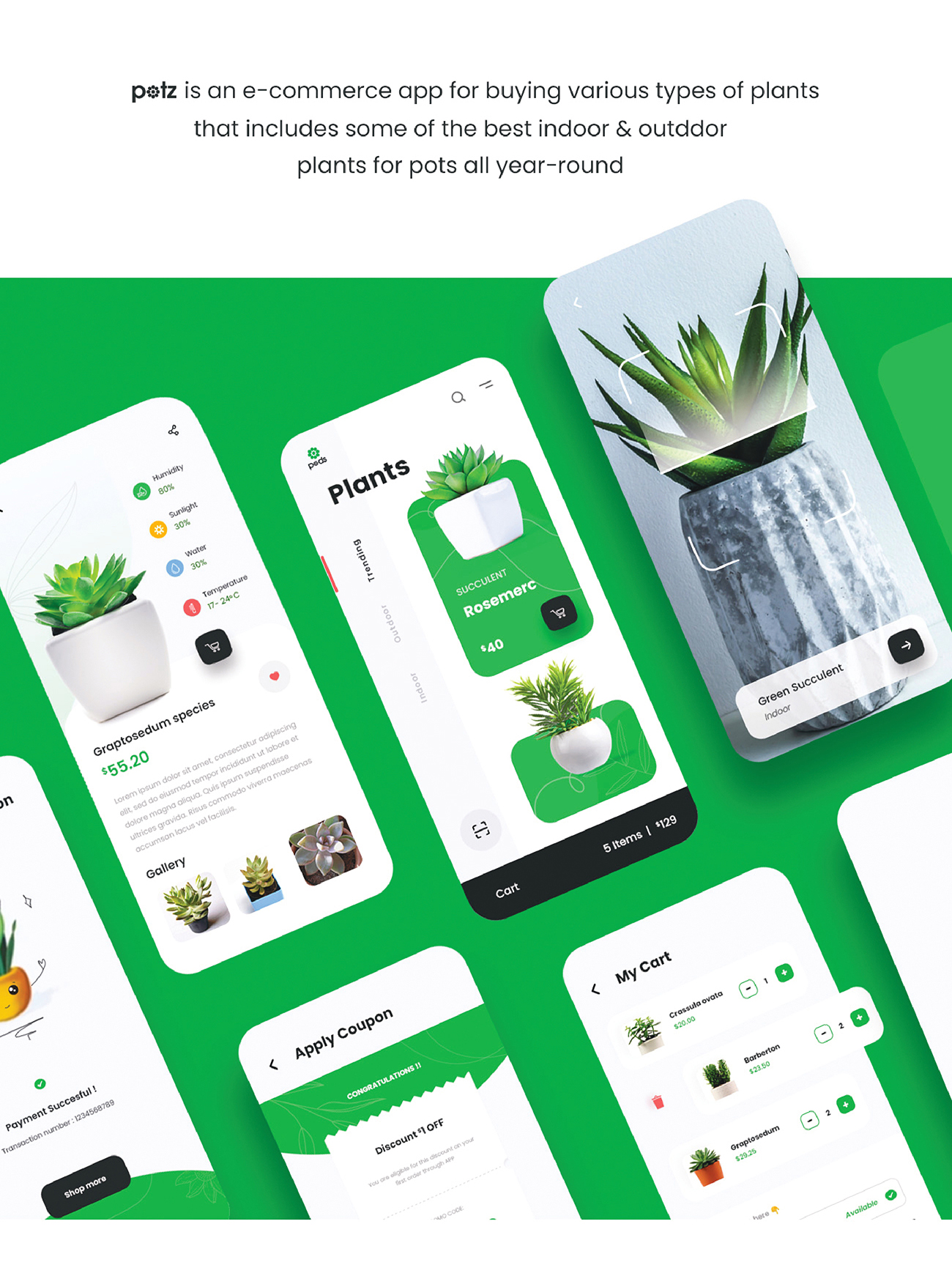 creative concept graphic design